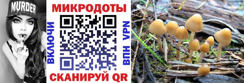 Псилоцибиновые грибы мицелий  ссылка на мегу ССЫЛКА  Чухлома 